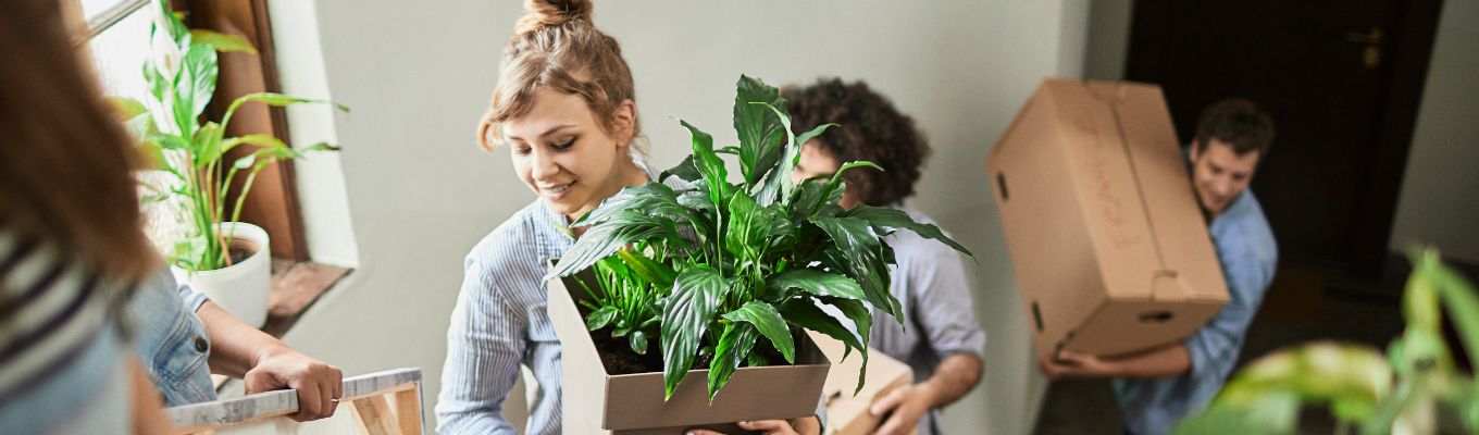 Easy Tips for Moving Plants