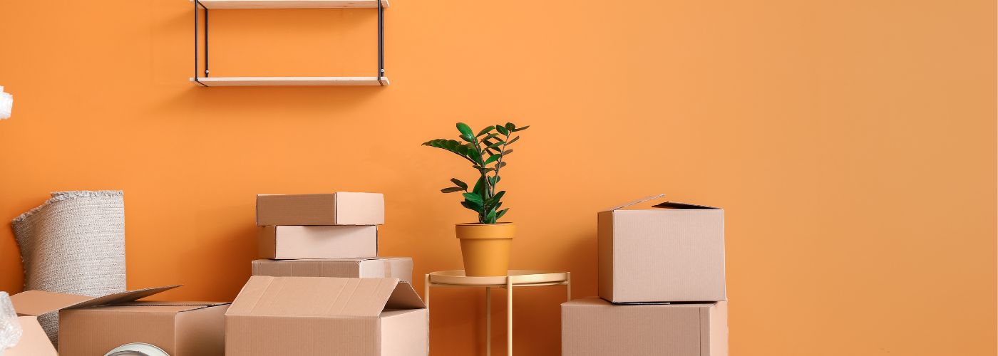What Should You Not Bring When Moving