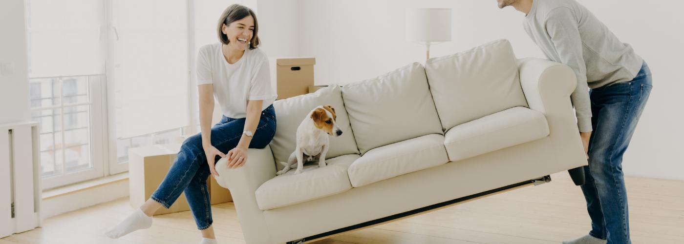 Is Moving Stressful For Dogs